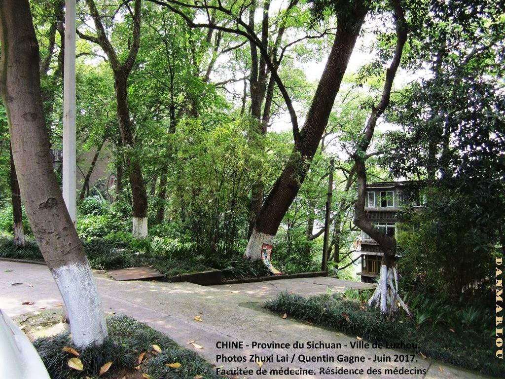 Luzhou juin 2017 - 013.JPG